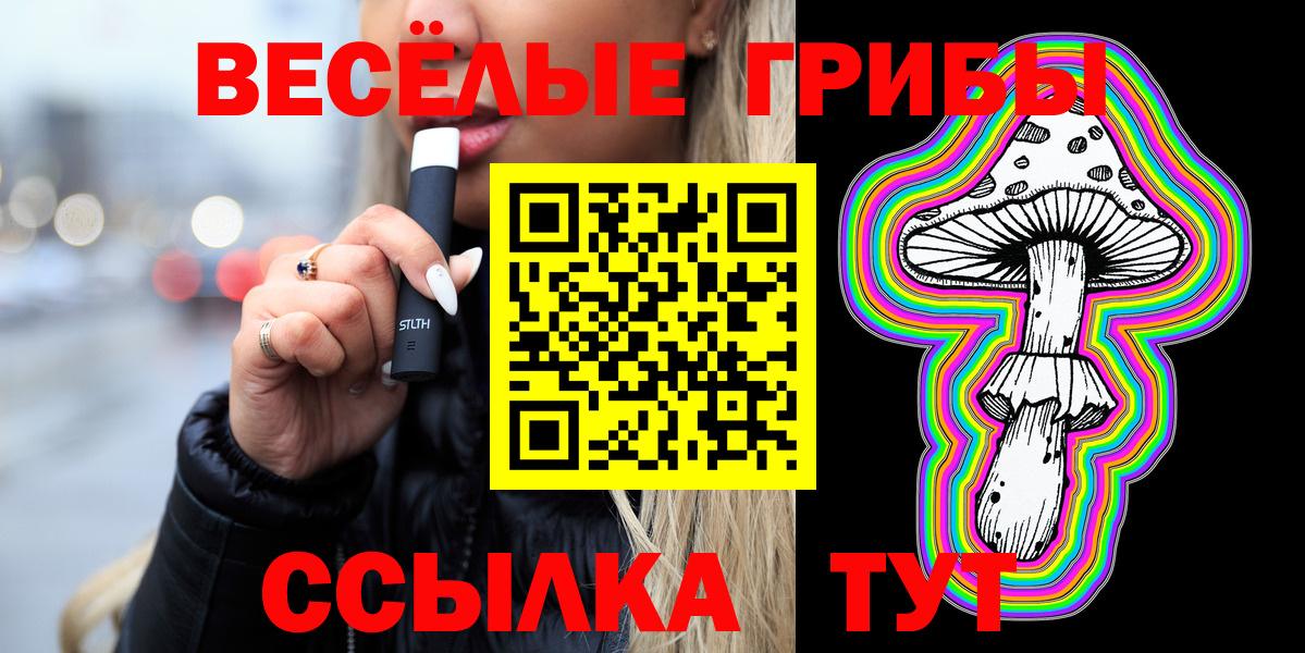 Галлюциногенные грибы Cubensis Карачаевск