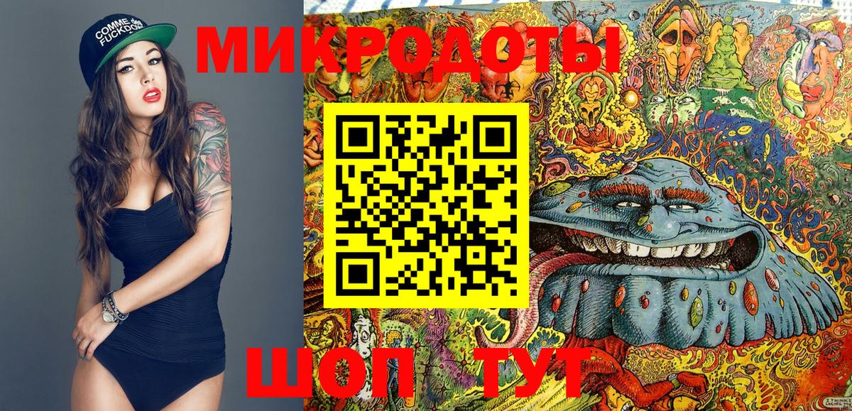 Карачаевск  Псилоцибиновые грибы MAGIC MUSHROOMS  Вход с VPN  Галлюциногенные грибы прущие грибы 